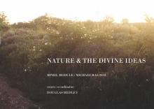 Nature and the Divine Ideas