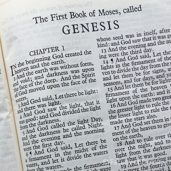 Is the story of creation in the Book of Genesis true? Is the creation story true?