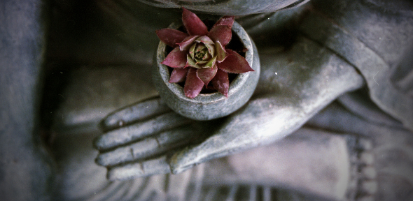 Buddhism Buddhism
