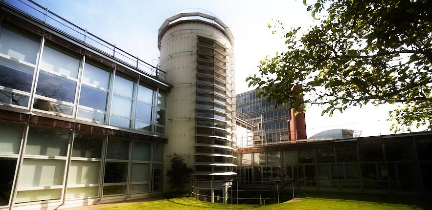 Faculty of Divinity garden. © University of Cambridge. All rights reserved. Faculty of Divinity garden. © University of Cambridge. All rights reserved.