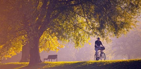 Bicycle. © University of Cambridge. All rights reserved. Bicycle. © University of Cambridge. All rights reserved.