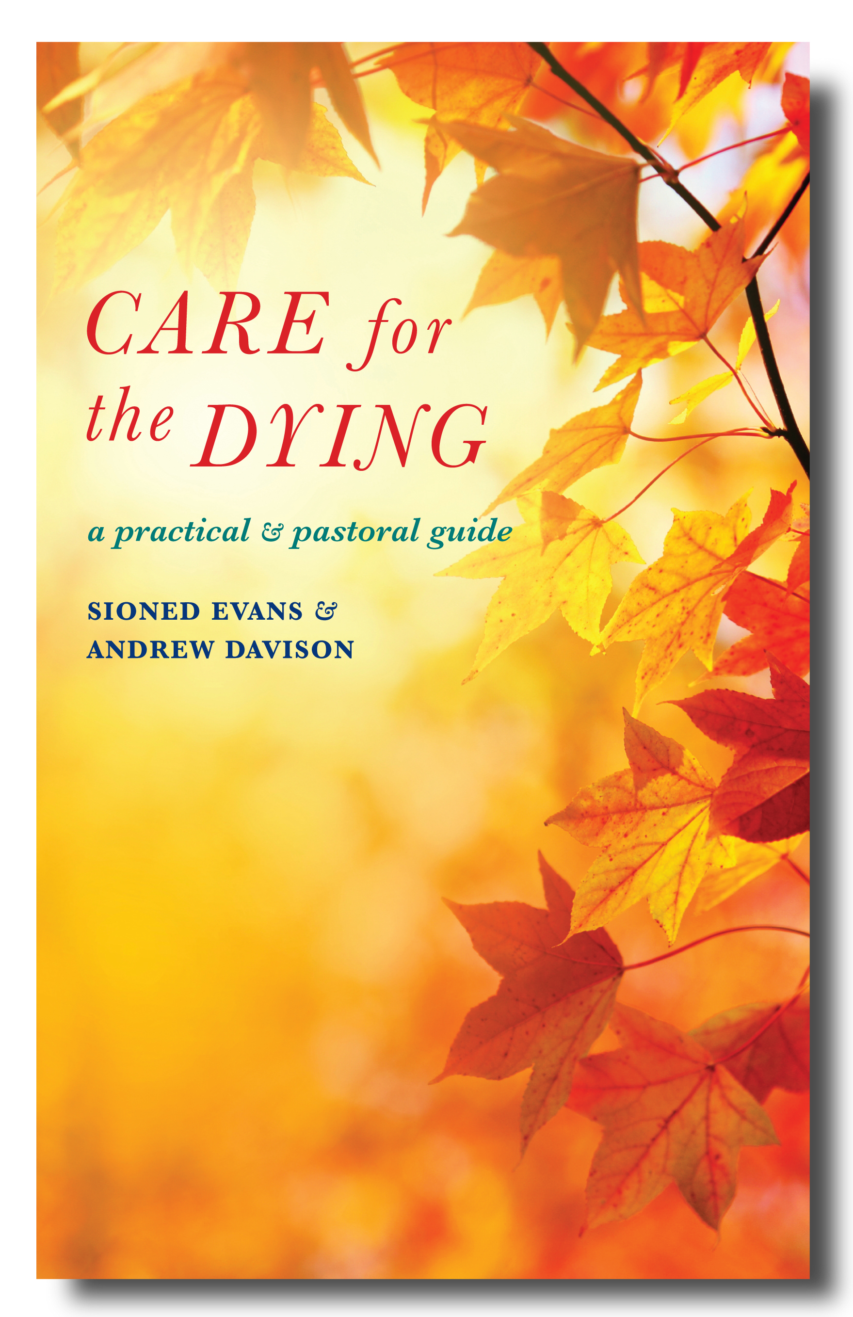 Care for the Dying